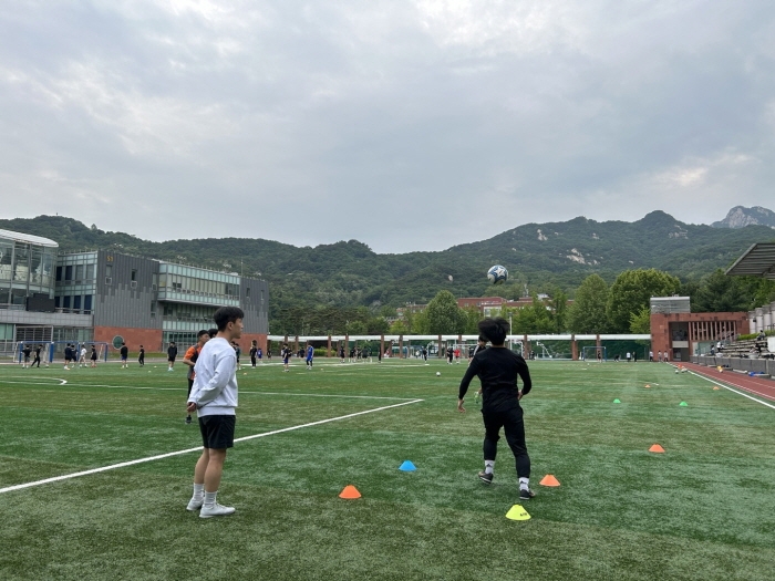 图片报：凯恩很可能本周战莱比锡时复出，阿方索出战存疑